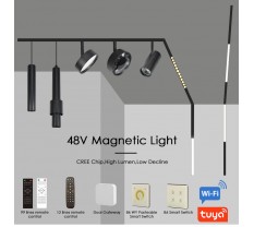 Complete guide to 48V magnetic track lighting system