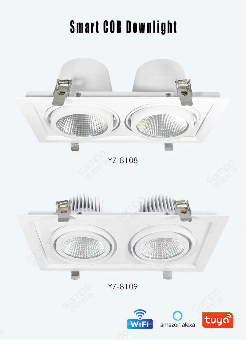 YZ8109 Double Recessed COB LED Downlights
