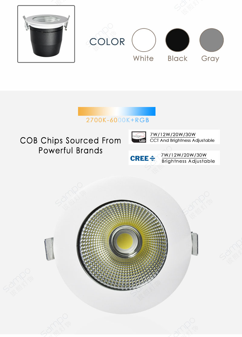 COB Chips | YZ8117 20W 30W Recessed COB LED Downlights