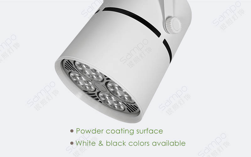 Surface Finish | YZ5109 PAR30 Flatback Cylinder Track Light Heads