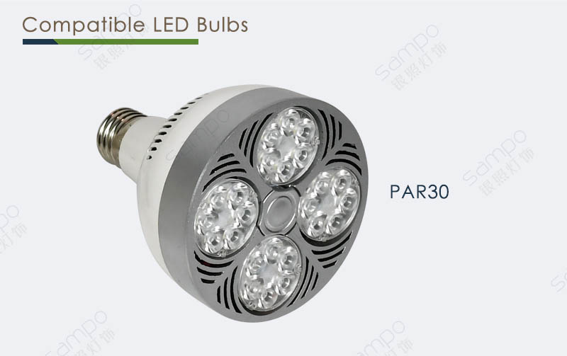 Competible Bulbs | YZ5504 E27 PAR30 Studio Track Light Fixtures