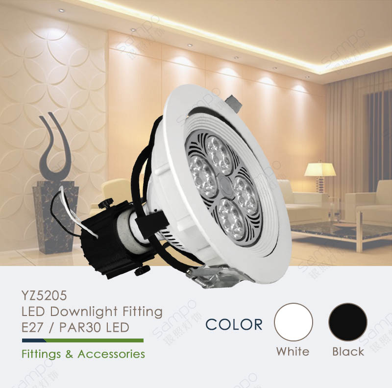 YZ5205 PAR30 LED Downlight Fixtures