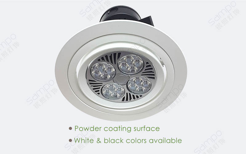 Surface Finish | YZ5202 PAR30 LED Downlight Fixtures And Fittings