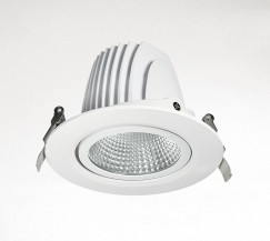 YZ8114 COB LED Downlight