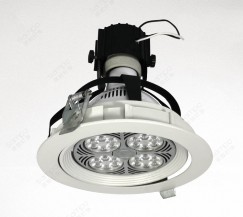 YZ5205 PAR30 Downlight YZ5205 PAR30 Downlight