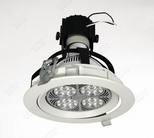 drikke Gade Mammoth PAR30 LED Downlight Fixtures | Sampo Lighting