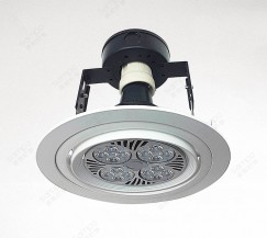 YZ5202 PAR30 Downlight
