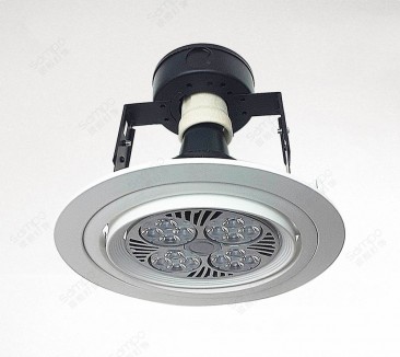 YZ5202 PAR30 Downlight