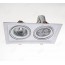 YZ5221 PAR30 AR111 Dual Head Downlight Fixtures