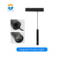Magnetic Pendant Light
