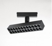 Palace Spotlight  Palace Spotlight