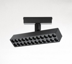 Palace Spotlight Palace Spotlight