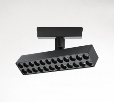 Palace Spotlight Palace Spotlight