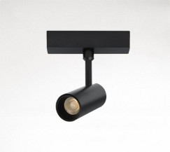 Track Spotlight Track Spotlight