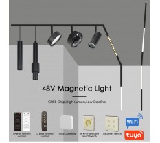 Complete guide to 48V magnetic track lighting system Complete guide to 48V magnetic track lighting system