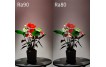 What Is Color Rendering Index? What Are The Benefits Of A High CRI?
