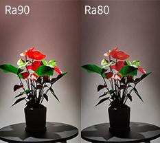 What Is Color Rendering Index? What Are The Benefits Of A High CRI?