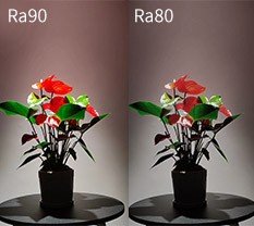 What Is Color Rendering Index? What Are The Benefits Of A High CRI? What Is Color Rendering Index? What Are The Benefits Of A High CRI?