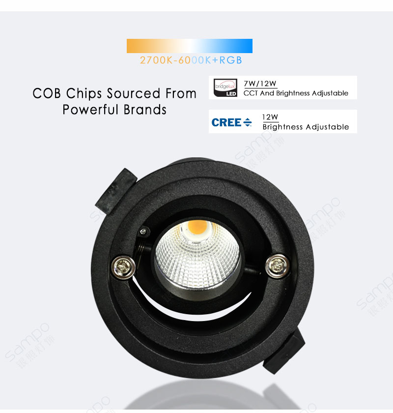 COB Chips | YZ8101 Pinhole LED Wall Washer Downlight