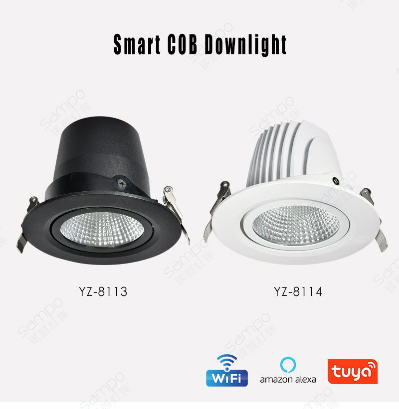 YZ8114 Recessed Adjustable COB Downlights