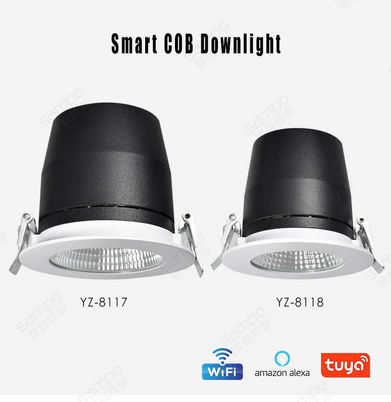 YZ8117 20W 30W Recessed COB LED Downlights