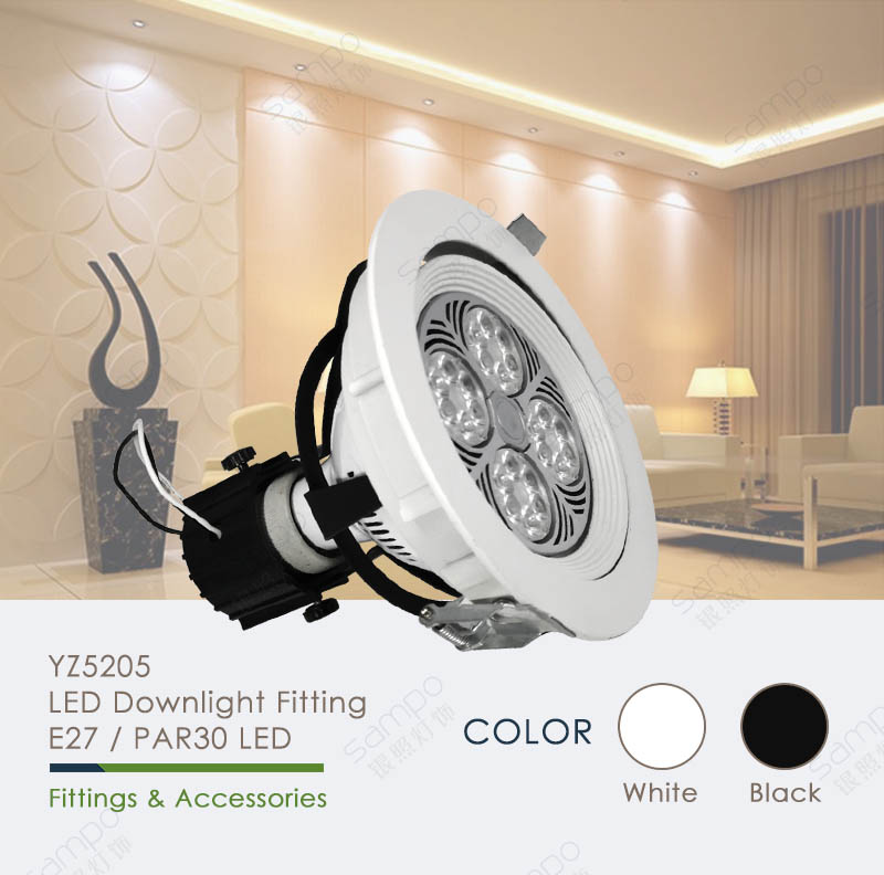 PAR30 LED Downlight Fixtures Lighting