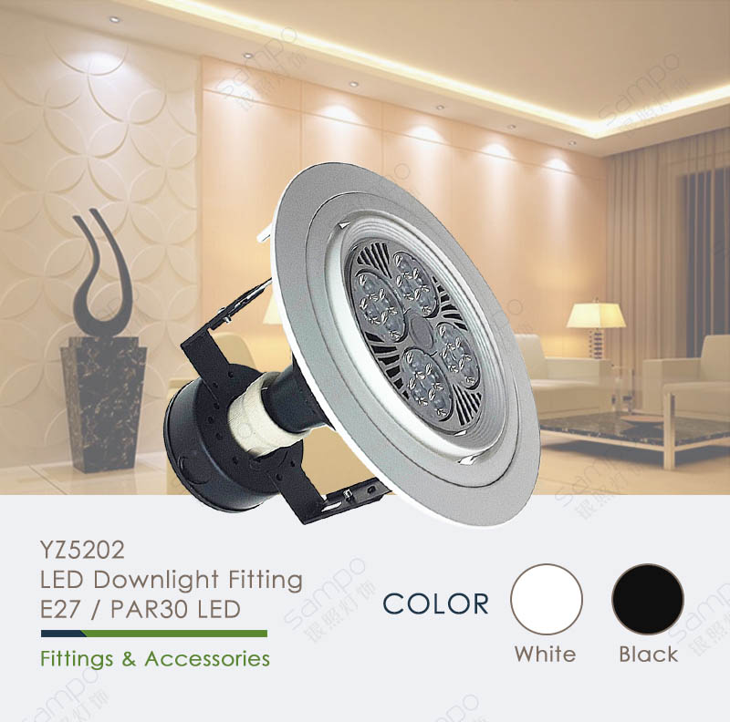 YZ5202 PAR30 LED Downlight Fixtures And Fittings